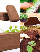 Substrat de culture en cocopeat premium du Vietnam pour l'exportation mondiale en agriculture, vente en gros, fabricant OEM