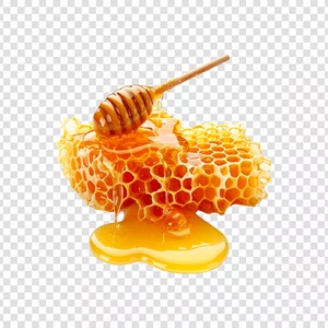 Panal de Miel de Abeja Premium, Miel Cruda Fresca, Suministro a Granel desde Vietnam - Product Image 2