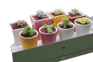 Colorful <b>Pot</b> Minimalist Design 2 sizes Drainage Hole Planters for Fresh Flower or Artificial Flower Home Garden Indoor Outdoor - Product Image 3