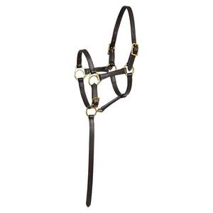 สายรัดคอหนังพร้อมที่ครอบศีรษะที่ออกแบบตามหลักกายวิภาค ที่คาดศีรษะปรับได้สองระดับและปรับได้บริเวณจมูก ให้ความนุ่มนวลเป็นพิเศษ - Product Image 1