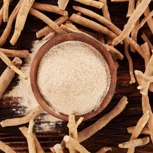 Polvo de Ashwagandha al por Mayor, Polvo de Raíz Herbal Premium para Suplementos de Salud y Uso Nutracéutico, Proveedor a Granel OEM ODM - Product Image 2