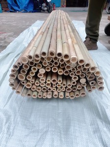 Vietnam Bamboo <b>Pole</b> <b>Garden</b> Stakes Natural Plant Support Sticks <b>for</b> Farming Landscaping and Nursery - Product Image 2