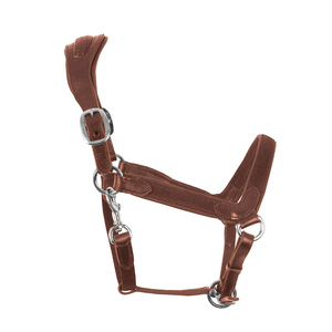 Longe et laisse pour cheval durables et personnalisables en coton doux tressé avec mousqueton métallique sécurisé pour l'équitation quotidienne, l'entraînement et le toilettage - Product Image 5