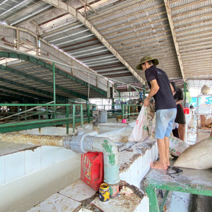 NGOC CHAU Latex liquide pour adhésifs de qualité alimentaire et médicale, ballons - Haute résistance aux UV, origine Ho Chi Minh City - Product Image 6