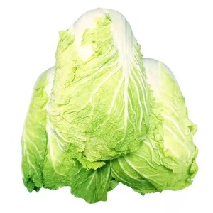 Repollo Verde Fresco Marca CREKS Caja de Cartón de 10 kg Grado Alimenticio Suministro a Granel Empaque Personalizado - Product Image 1