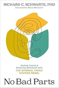No hay partes inapropiadas de Richard C. Schwartz PhD, libro en inglés con tapa blanda, guía sobre salud mental y sanación emocional - Product Image 4