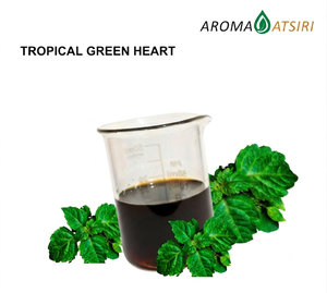 AROMA ATSIRI Huile Essentielle Pure Cœur Vert Tropical Distillée à la Vapeur 100% Pure Arôme Mentholé pour l'Aromathérapie - Product Image 1