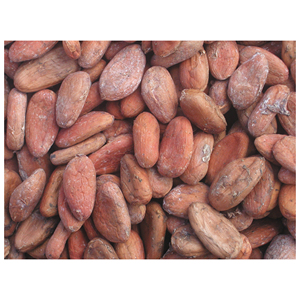 Proveedor de Granos de Cacao de Alta Calidad, Mejores Granos de Cacao a Precio Económico - Product Image 6