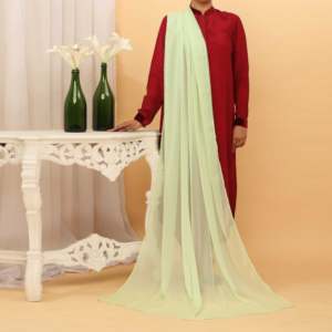 Seagreen Plain Chiffon Dupatta PD5377 Robes de Cocktail Élégantes Accessoire - Product Image 1