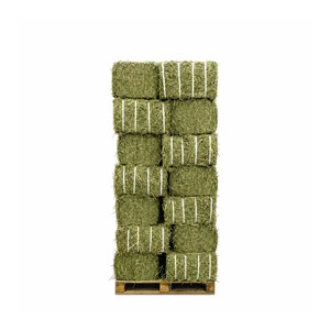 Prix d'usine pour le foin d'alfalfa disponible pour les grossistes en aliments pour animaux et les entreprises agricoles - Product Image 5