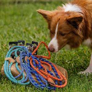 Correa para Perro Yommy, Duradera y Ligera, Kit para Mascotas de Larga Duración en 4 Colores - Product Image 5