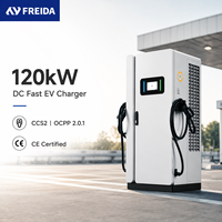 Nuevo Cargador de CC para Vehículos Eléctricos de 120 kW, Estación de Carga Rápida CCS2, Vehículo Eléctrico Comercial, OEM, ODM