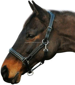 Y & Z Cabestro de caballo de cuero genuino Cuerda de alta calidad suministros ecuestres Precio de venta completo disponible - Product Image 1