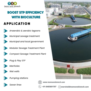 Solution Microbienne Probiotique pour le Traitement des Eaux Usées et le Contrôle des Eaux Nuisibles - Product Image 4