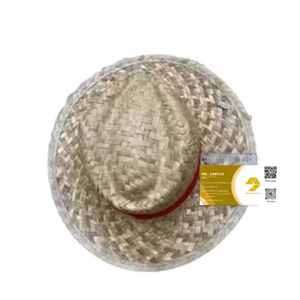 Chapeau de paille mexicain multicolore au design unique et abordable pour les voyages en plein air, les sports et les fêtes d'Halloween - Product Image 1