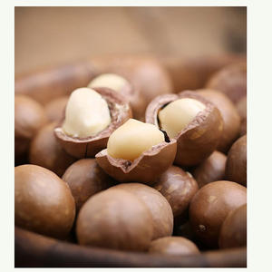 Nueces de Macadamia Crudas, Saladas y Tostadas, Alimento Saludable, Macadamia con Cáscara - Product Image 5