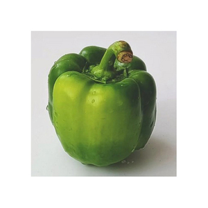 Pimiento Fresco Importado de Calidad Premium con 80% de Maduración a Precio Competitivo y Medición de Temperatura - Product Image 6