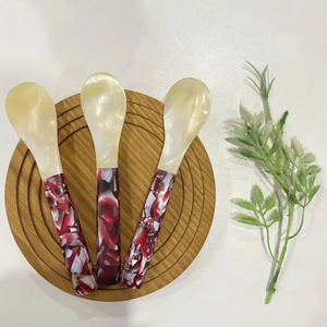 Cuillère artisanale vietnamienne en nacre, fabriquée à partir de coquille d'huître, pour caviar, dessert, glace, café, vaisselle de table. - Product Image 1