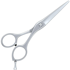 Tijeras para Uñas de Plata de la Mejor Calidad, Acero Inoxidable, Cuchilla Afilada, Tijeras Profesionales para Manicura, Marca Privada OEM, Logotipo Personalizado - Product Image 1