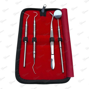Kit de Exploración Dental Eléctrico: Espejo, Sonda y Herramientas Exploradoras con Empuñadura Roscada Plateada, Instrumentos Quirúrgicos de Clase I con Certificación CE - Product Image 5