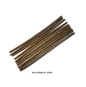 Sola nhà máy gỗ chất lượng tốt nhất tự nhiên thân thiện với môi cho trang trí & hoa làm nguyên Sola gỗ thanh Sola gỗ gốc - Product Image 1