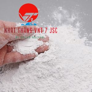 Poudre de CaCO3 Nhat Thang VNT 7 de pureté supérieure 98% (Modèle VNT-1) pour peintures et revêtements – Solution ultime au carbonate pour diverses applications - Product Image 6