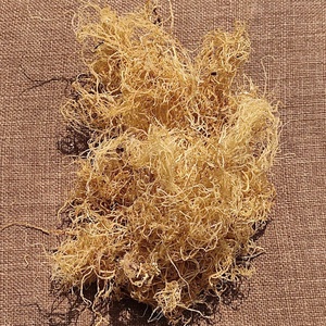 Alga Gracilaria Seca Cruda |   Gracilaria Seca Natural |   Suministro al por Mayor - LIAM - Product Image 6