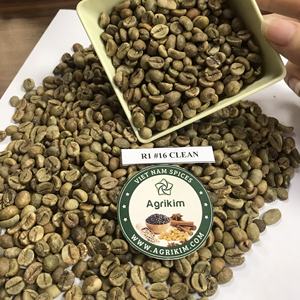 Grains de café vert Robusta de haute qualité certifiés ISO 22000, humidité maximale de 12,5 %, sac en jute de 60 kg, marque AGRIKIM du Vietnam, torréfaction G1 - Product Image 5