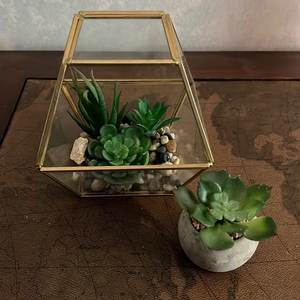 Juego de terrarios modernos de metal y vidrio personalizados en color negro para plantas de interior, suculentas, plantas aéreas y terrarios DIY. - Product Image 4