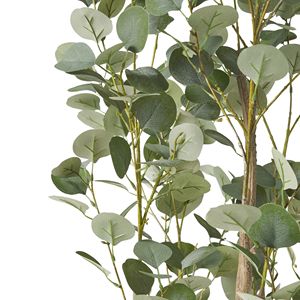 Albero di Eucalipto Artificiale da 71 Pollici per Arredamento Domestico, Elegante e Resistente per Uso Interno - Product Image 5