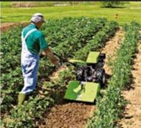 Désherbeur Grillo Green Power avec moteur, pompe, roulement et engrenage - Utilisation agricole multifonctionnelle 150 kg