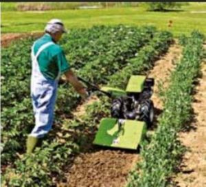 Desbrozadora Grillo Green Power con Motor, Bomba, Rodamiento y Engranaje - Uso Agrícola Multifuncional 150kg - Product Image 3