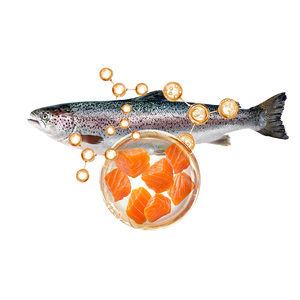 Suplemento nutricional de péptidos de colágeno de pescado de calidad superior, suministro a granel, venta al por mayor, acuerdo de exportación - Product Image 4