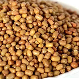 Frijoles Secos de Primera Calidad, Matki, Legumbres Naturales Altas en Proteínas, Mijo Indio, Vida Útil de 12 a 18 Meses - Product Image 1