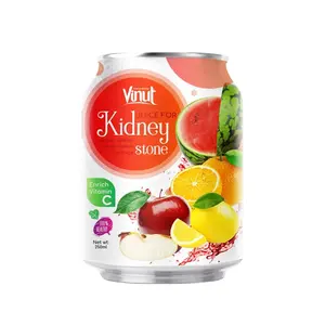 VINUT 250ml konserve karışık sebze suyu elma limon karpuz portakal suyu iyi böbrek sağlığı için en iyi fiyat ODM OEM