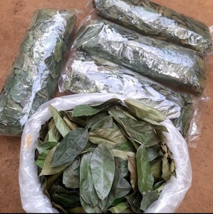 Dried Natural Organic Non Sugar Black <b>Tea</b> Broken Leaves Bulk Pack Plastic Bag Storage - Product Image 1