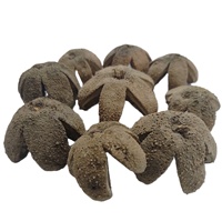 Coque de fleur botanique Kartoos, matériau végétal naturel séché, écologique, pour pot-pourri et décoration pour toutes les occasions