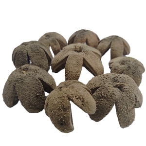 Vaina de Flor Botánica Kartoos, Material Vegetal Seco Natural, Vaina de Flor Ecológica para Potpourri y Decoración en Toda Ocasión - Product Image 6