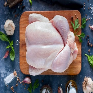 Pollo Entero Halal Congelado, de Primera Calidad, Alta Calidad, Bajo Precio, Aves Frescas, Carne de Pollo Entero Congelado - Product Image 6