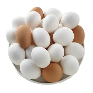 Mesa de conchas marrones para huevos de pollo frescos, granja fresca al por mayor, huevos de pollo y concha blanca
