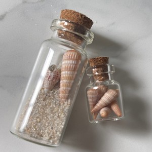 Mezcla de conchas marinas en botellas, botellas decorativas hechas a mano con conchas marinas, recuerdos para fiestas costeras, venta al por mayor - Product Image 5