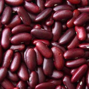 Frijoles Rojos Naturales Frescos Empacados a Granel, Suministro Directo de Fábrica, Listos para Compradores Globales a un Precio Competitivo - Product Image 6