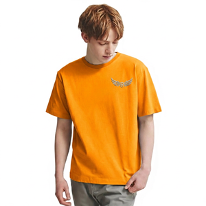 Camiseta de Manga Corta Gris Claro para Hombre con Logotipo de Ala Bordado, Cuello Redondo, Corte Regular, Informal, de Algodón - Product Image 6