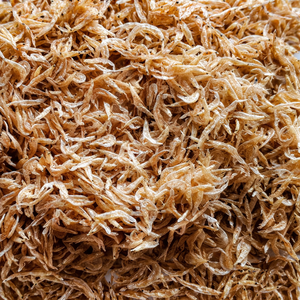 CREVETTES SÉCHÉES EN GROS // CREVETTES BÉBÉS SÉCHÉES DU VIETNAM // MME ALINA +84 909 419 808 - Product Image 4