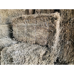 Hojas de hierba negra deshidratadas para hacer postres de gelatina de hierba y bebidas herbales refrescantes, materia prima de alta pureza - Product Image 5