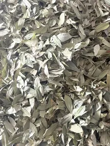 Hoja de Laurel India (Tejpata) Cinnamomum Tamal Especias Enteras - Sabor a Canela Suave Ampliamente Utilizado en la Cocina India para un Aroma Distintivo - Product Image 6