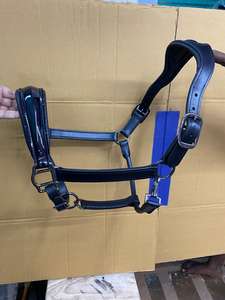 Équipement équestre de haute qualité en cuir de vache souple teint en tambour, pour écurie : Licol, têtière et selle australienne - Product Image 6