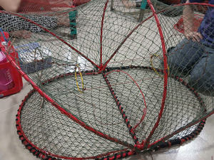 Red de Pesca Plegable de Alta Calidad y Resistencia con Doble Nudo, Jaula de Acero Galvanizado y Red de PE para la Pesca de Pulpos y Langostas - Product Image 5