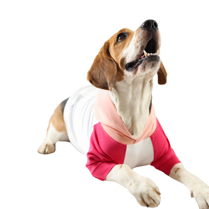Wholesale Custom Comfortable Fleece Dog Hoodie Apparel For <b>Pets</b> Puppy Sweater Cold Weather All Seasons <b>Pet</b> <b>Clothes</b> Dog Hoodie - Product Image 4