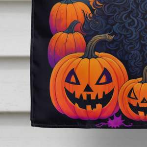 ธงบ้านโพลีเอสเตอร์หลากสีขนาดใหญ่ลายฮาโลวีนสำหรับลานระเบียงแบนเนอร์งานศิลปะแขวนผนังพุดเดิ้ลมาตรฐานสีดำ - Product Image 4